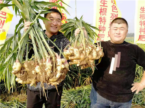 水溶肥，翠姆，拉姆拉