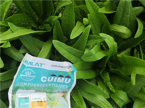 水溶肥，翠姆，拉姆拉