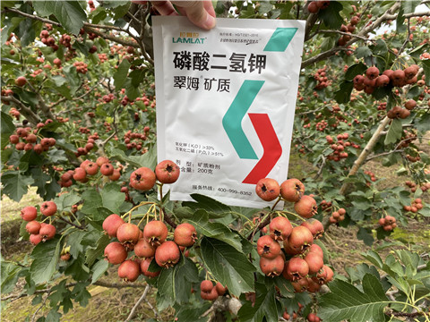 磷酸二氫鉀，拉姆拉，翠姆