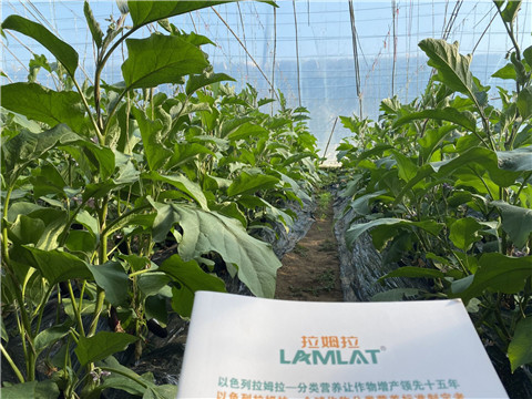 進(jìn)口水溶肥，翠姆，拉姆拉