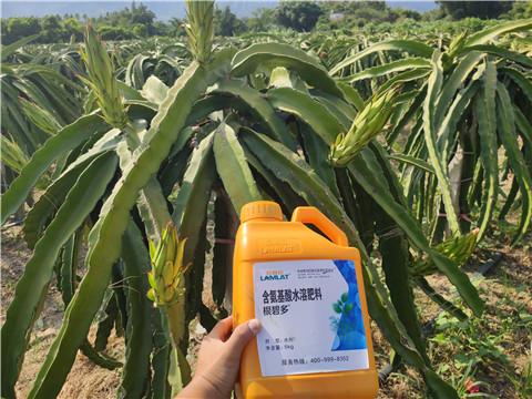 水溶肥，拉姆拉，翠姆