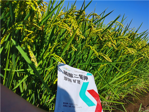 水溶肥，磷酸二氫鉀