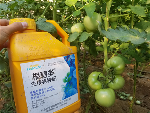 葉面肥，磷酸二氫鉀，微生物菌劑，翠姆，拉姆拉