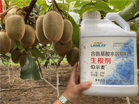 水溶肥，生根劑，微生物菌劑，伯示麥，拉姆拉