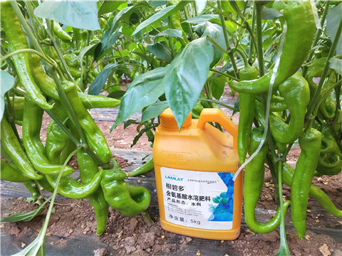 水溶肥，拉姆拉