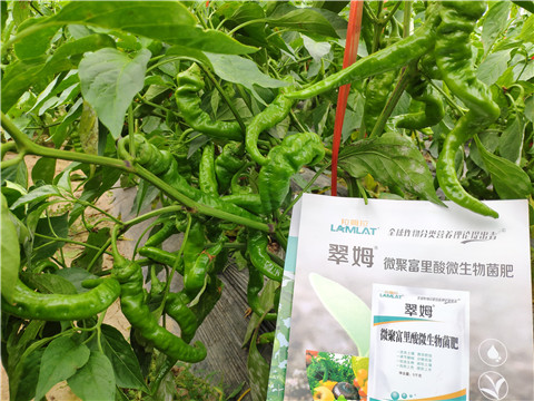 水溶肥，拉姆拉