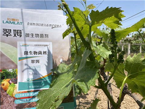 微生物菌劑，拉姆拉，翠姆