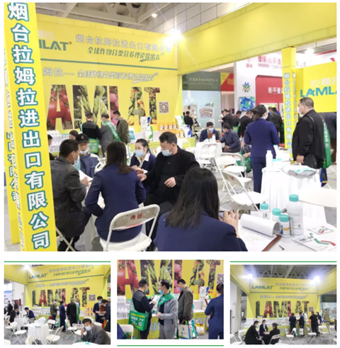 水溶肥，拉姆拉，翠姆