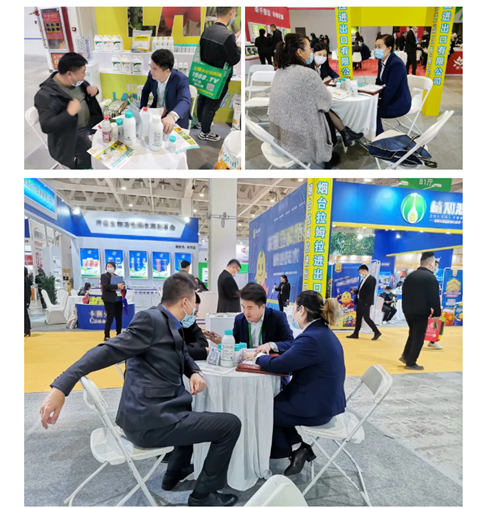 水溶肥，拉姆拉，翠姆