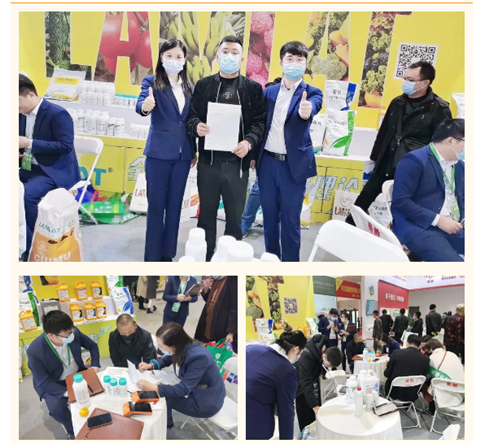 水溶肥，拉姆拉，翠姆