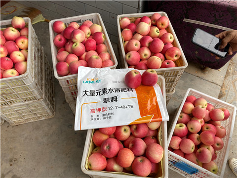 水溶肥，大量元素水溶肥，翠姆，拉姆拉