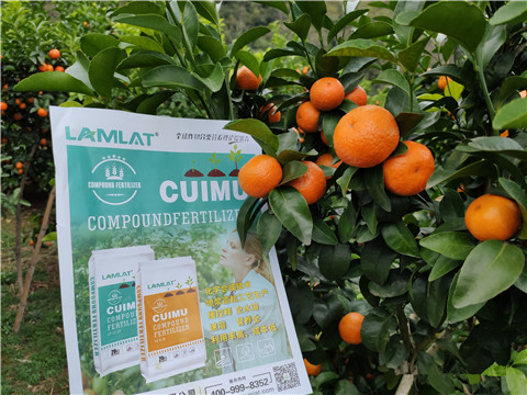 顆粒水溶肥，拉姆拉，翠姆