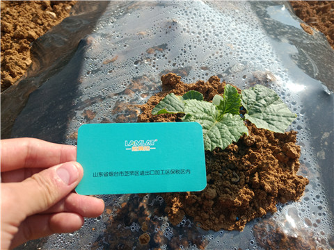 水溶肥，拉姆拉