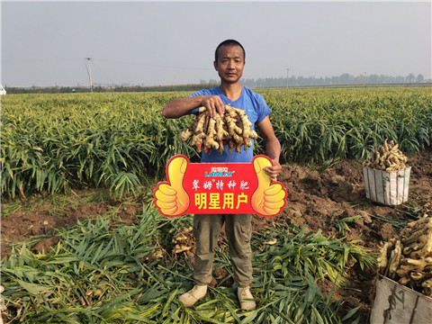 進(jìn)口水溶肥，拉姆拉，翠姆