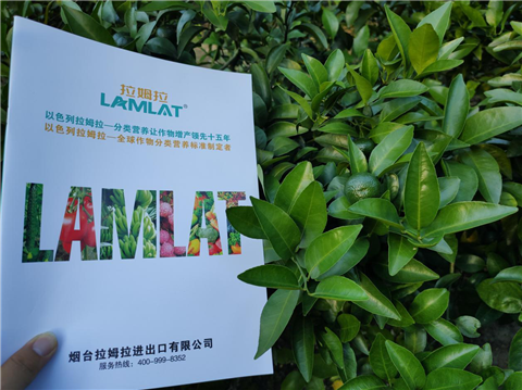 水溶肥，拉姆拉，翠姆