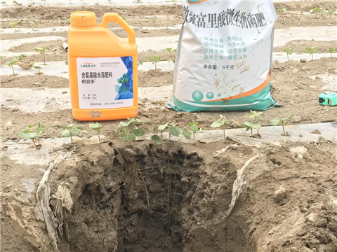 水溶肥，拉姆拉，翠姆