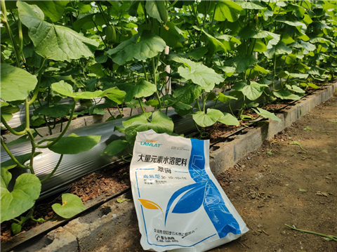 大量元素水溶肥，拉姆拉，翠姆