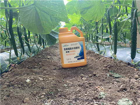 水溶肥，拉姆拉，翠姆