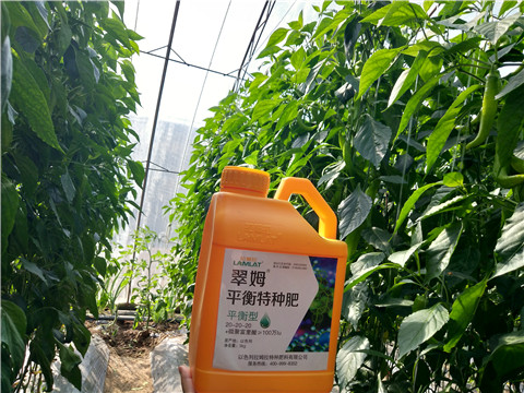 滴灌肥，拉姆拉，翠姆