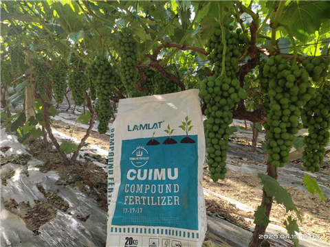 水溶肥，拉姆拉，翠姆