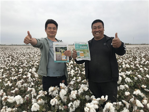 棉花，水溶肥，拉姆拉，翠姆