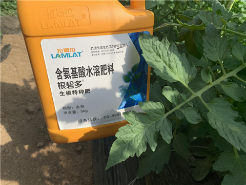 水溶肥，拉姆拉，翠姆