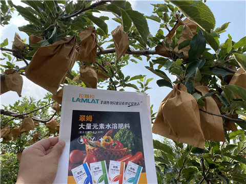 大量元素水溶肥，拉姆拉，翠姆