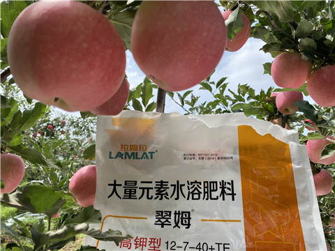 大量元素水溶肥，拉姆拉，翠姆