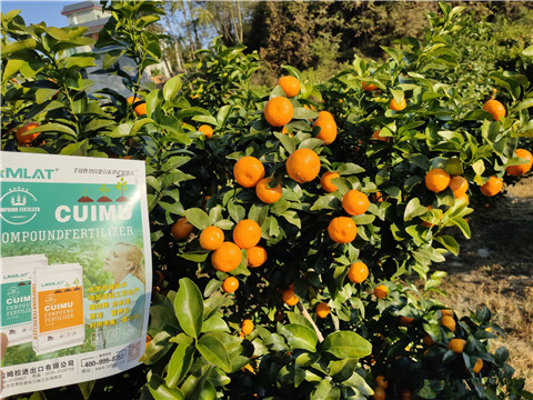 進(jìn)口水溶肥，拉姆拉，翠姆