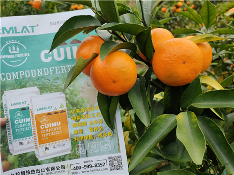 顆粒水溶肥，拉姆拉，翠姆