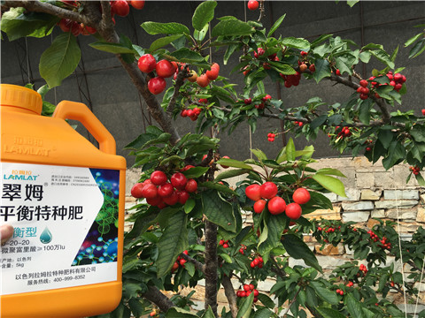 水溶肥，拉姆拉，翠姆