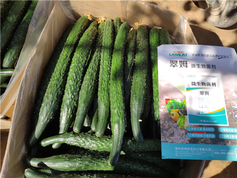 微生物菌劑，拉姆拉，翠姆