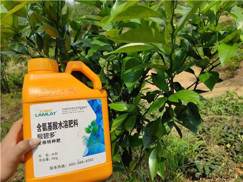 沖施肥，拉姆拉，翠姆