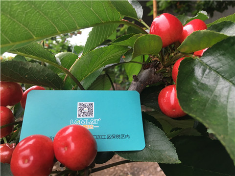 大量元素水溶肥，拉姆拉，翠姆