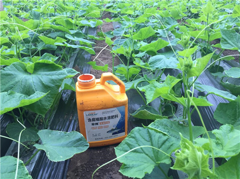 作物施肥管理，拉姆拉，翠姆