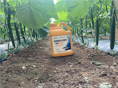 作物施肥管理，拉姆拉，翠姆