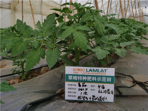 水溶肥，拉姆拉，翠姆