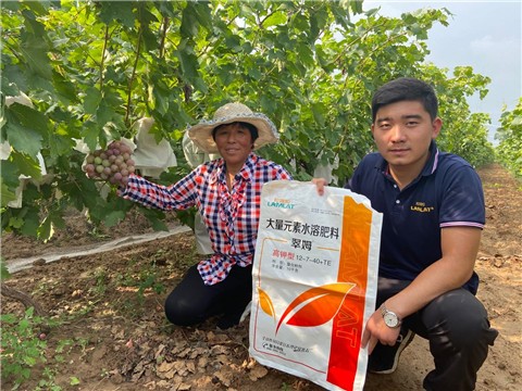 大量元素水溶肥，拉姆拉，翠姆