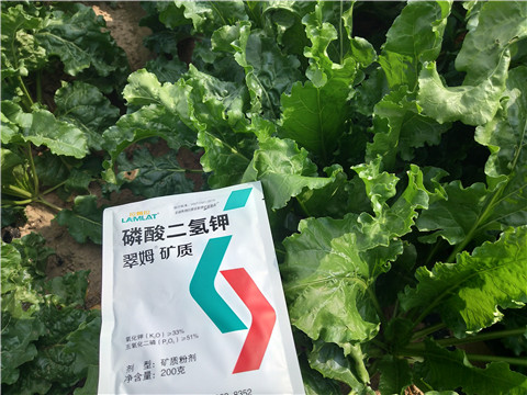 水溶肥，拉姆拉，翠姆