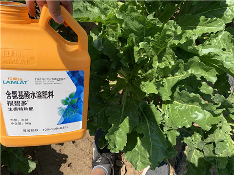 水溶肥，拉姆拉，翠姆