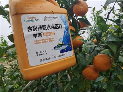 水溶肥，拉姆拉，翠姆