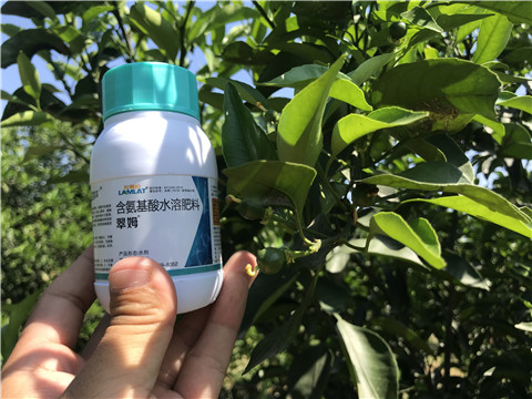 葉面肥，拉姆拉，翠姆