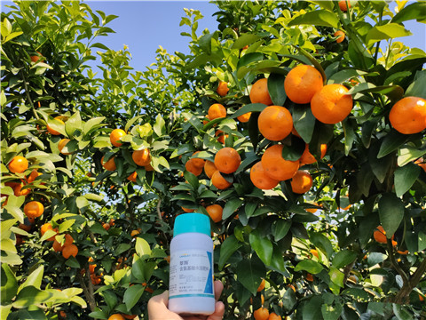 葉面肥，拉姆拉，翠姆