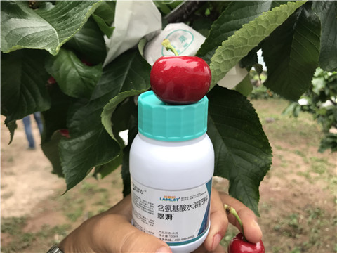 水溶肥，拉姆拉，翠姆