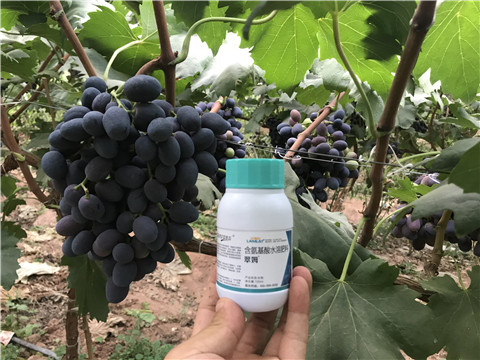 進(jìn)口水溶肥，拉姆拉，翠姆