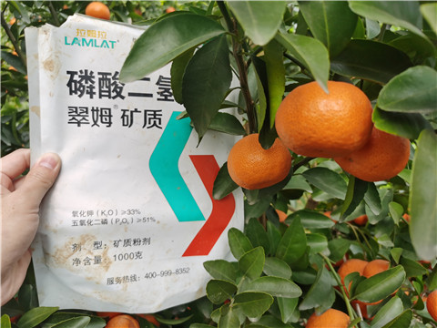 水溶肥，拉姆拉，翠姆