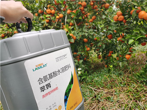 水溶肥，拉姆拉，翠姆