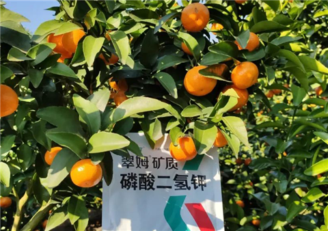 磷酸二氫鉀，拉姆拉，翠姆