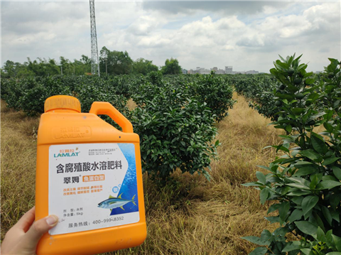 水溶肥，拉姆拉，翠姆