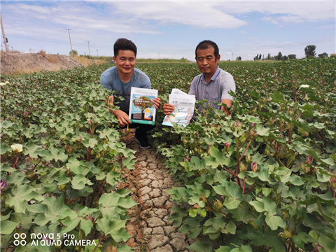 水溶肥，拉姆拉，翠姆